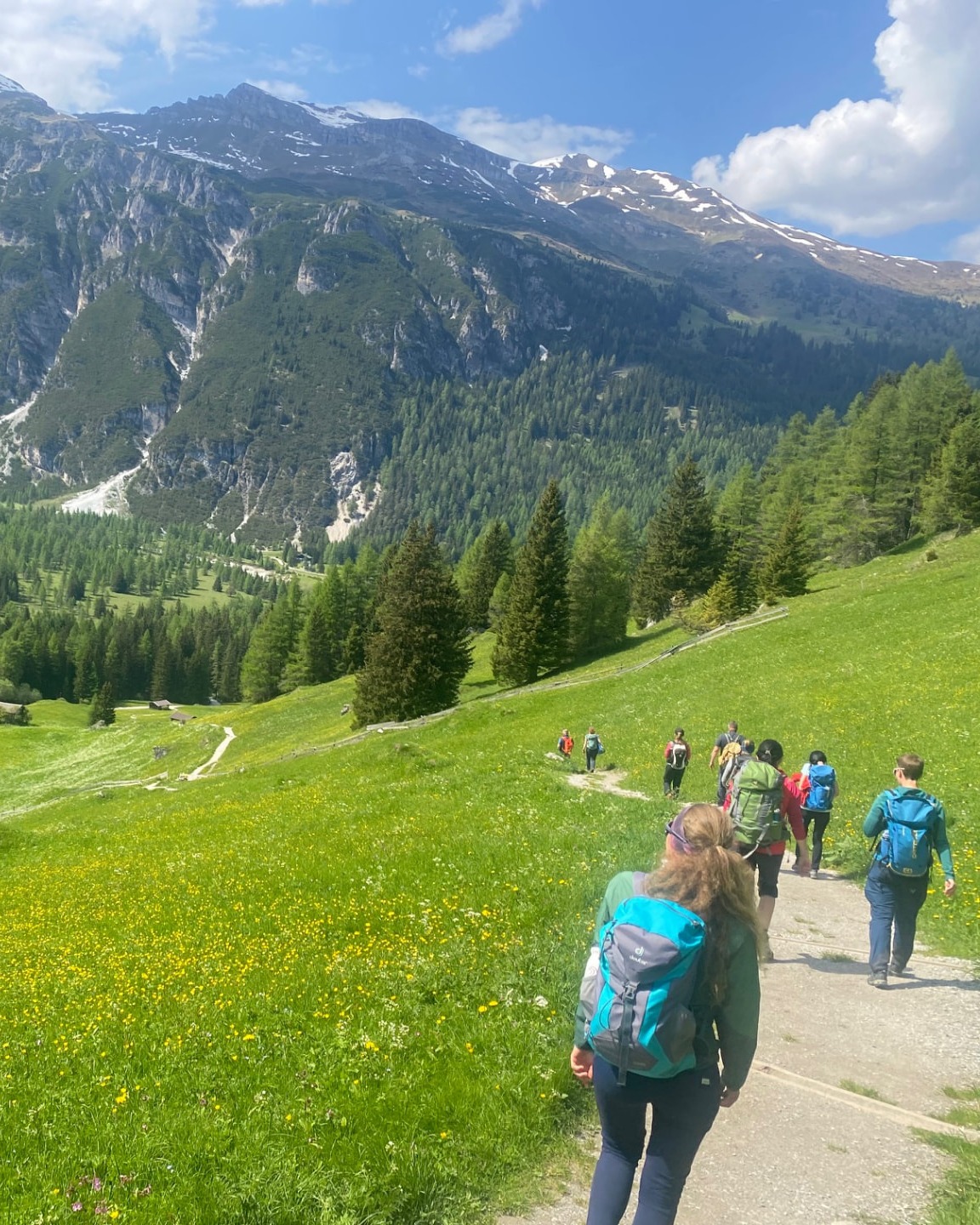 Gruppe wandert auf einem Bergweg durch eine Almwiese in den Tiroler Alpen